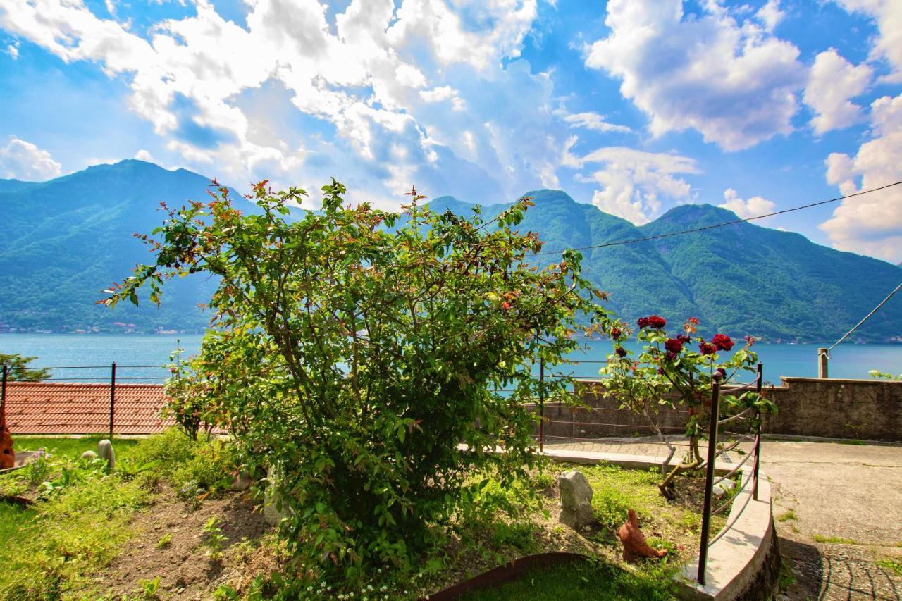 Il Punto Rosso Apartamento Nesso Exterior foto